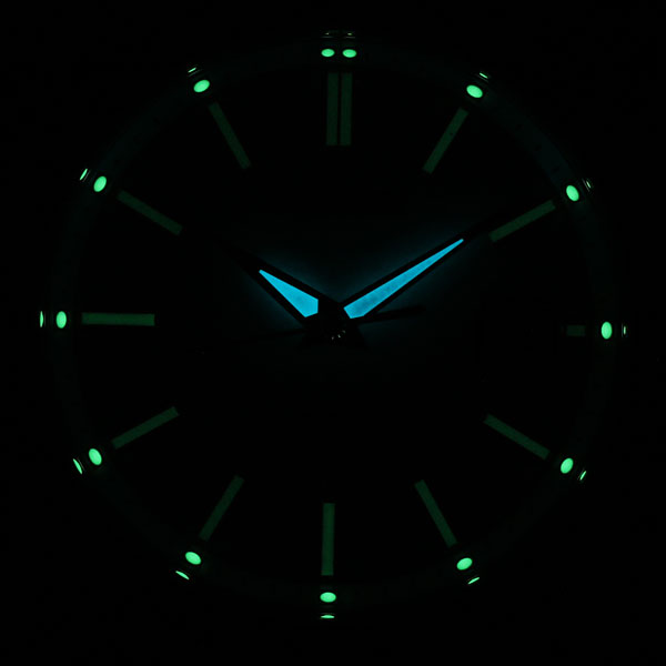 AQ4091-56A：ルミブライトの写真