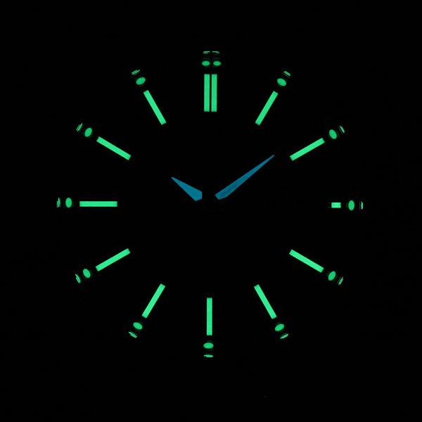 AQ4091-56L：ルミブライトの写真