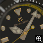 SBGX339のルミブライト